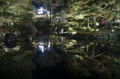 円山公園ひょうたん池2