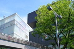 緑がきれい～