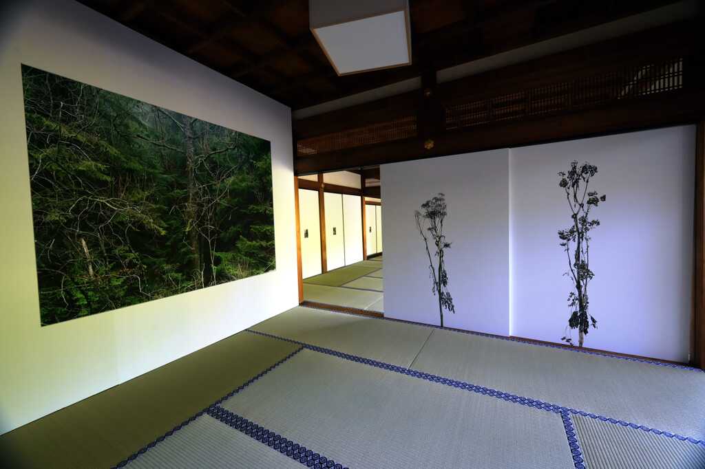 KYOTOGRAPHIE7