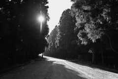 STREET52