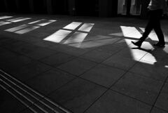 STREET149