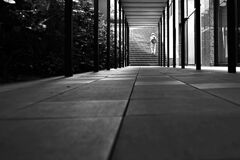 STREET83