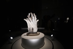 手