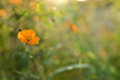 照らされて・・・