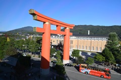 赤い鳥居と赤いバス