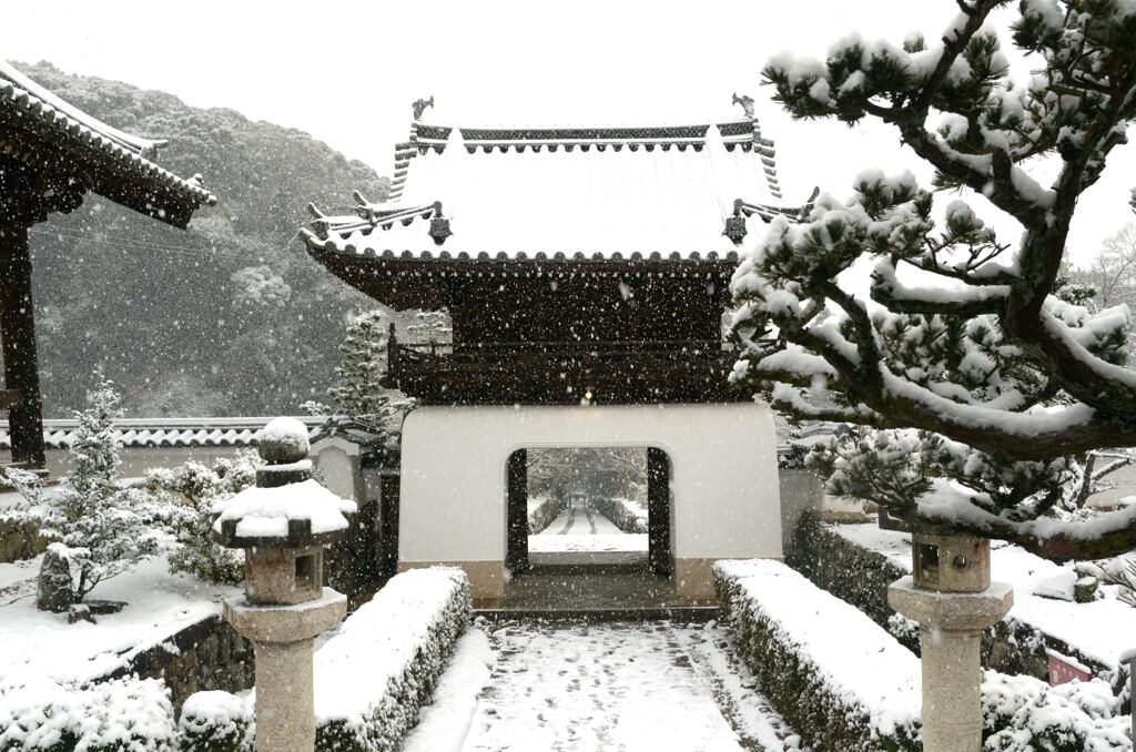 雪の興聖寺