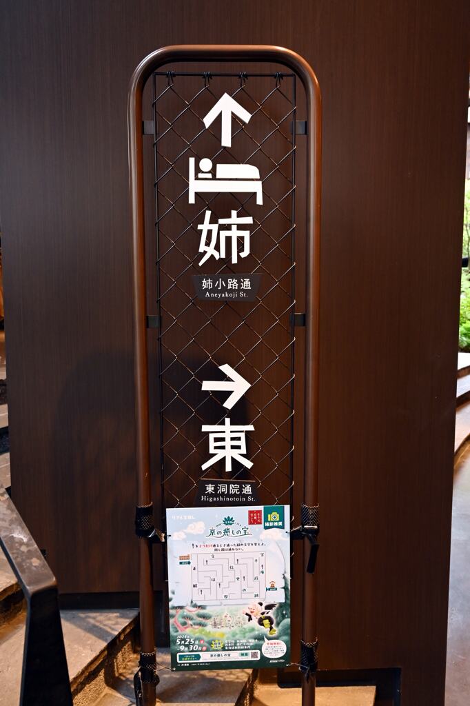 ↑姉→東