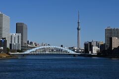 永代橋とスカイツリー