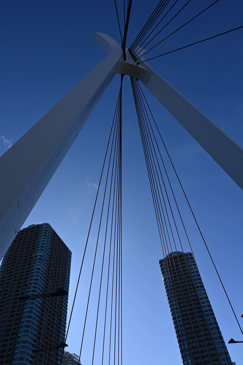 中央大橋