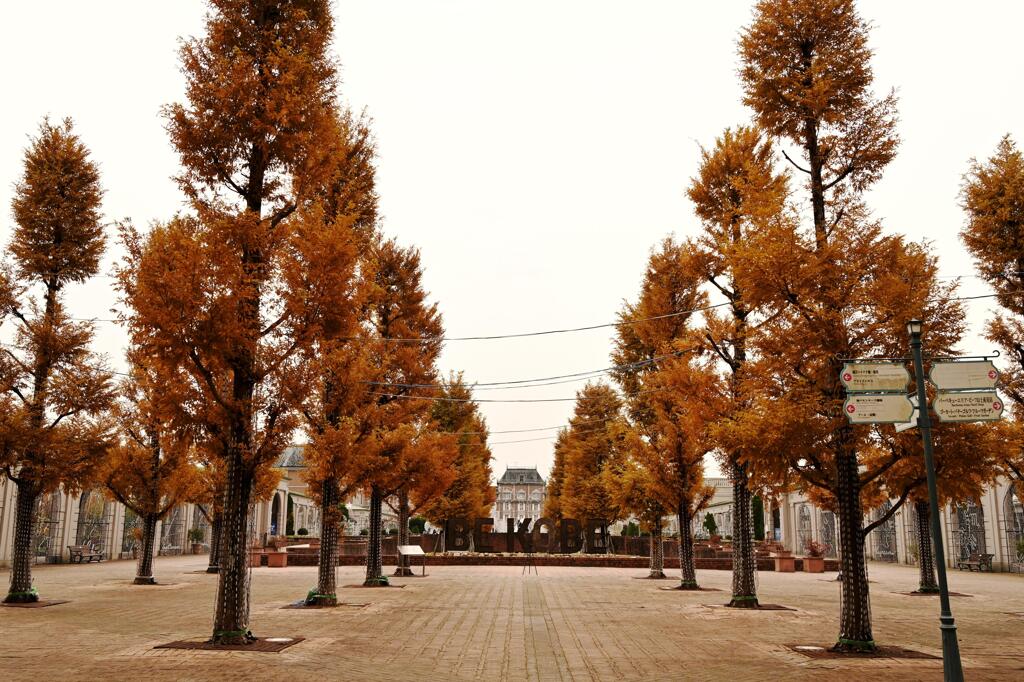 BE KOBE