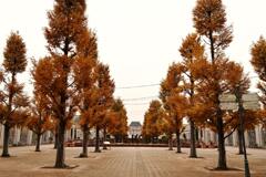 BE KOBE
