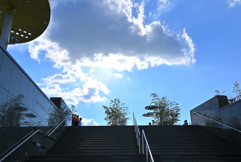 夏雲
