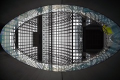 見上げると・・・