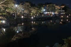 円山公園ひょうたん池3