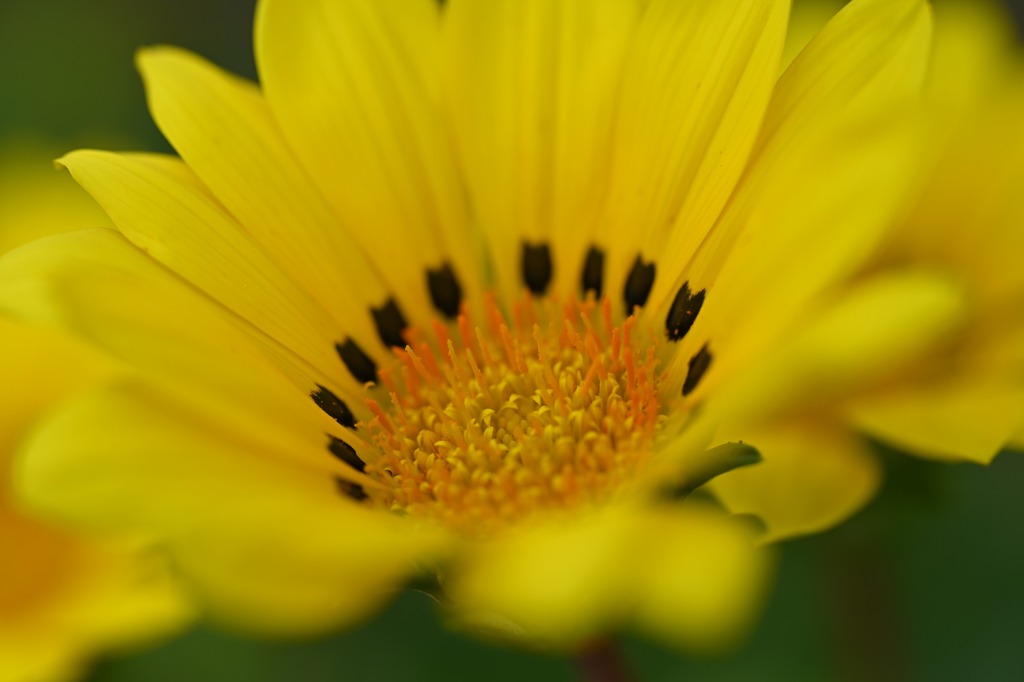 散歩スナップ64