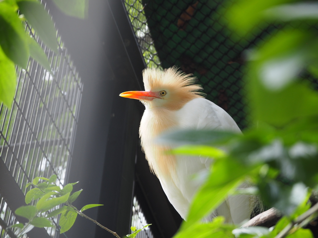 多摩動物園