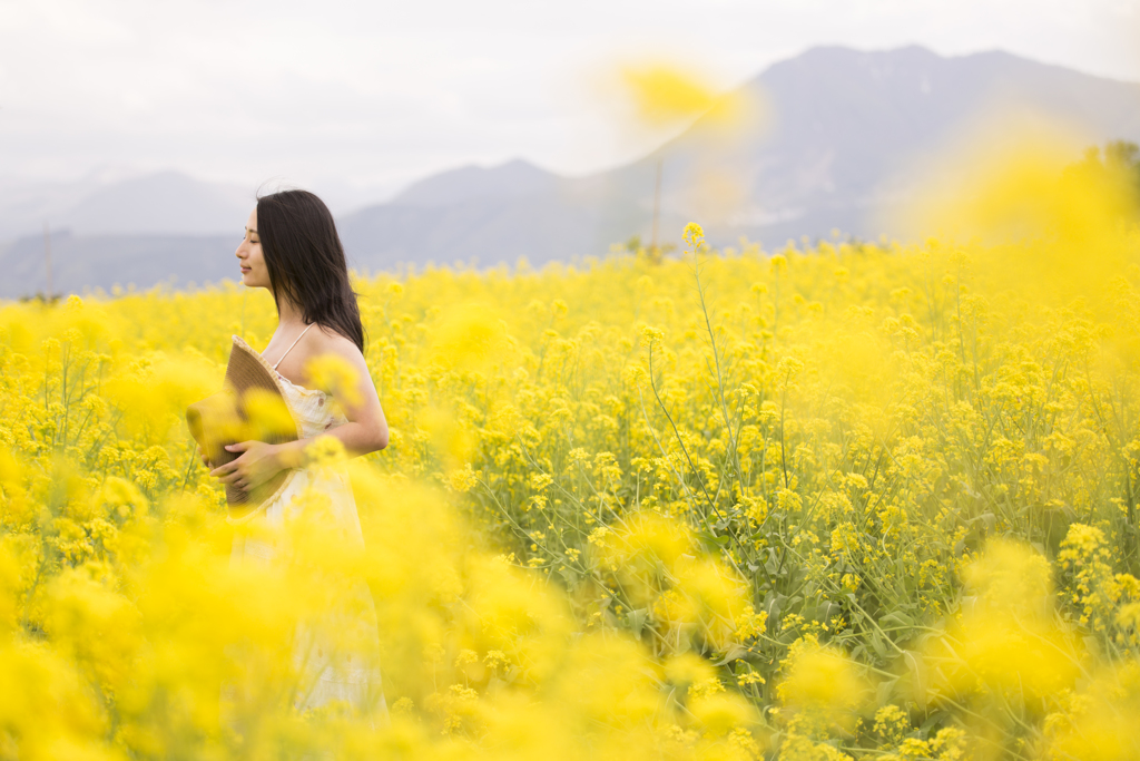 菜の花ポートレート