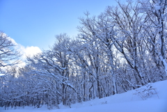 吹雪の後に