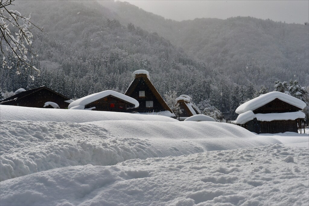雪郷