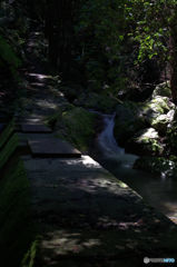 雨上がり