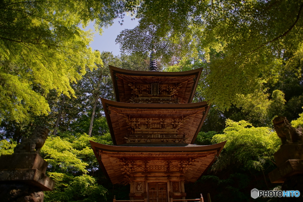 新緑の三重塔