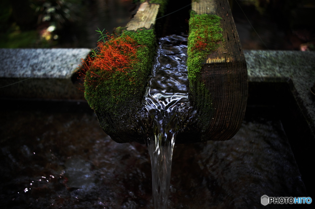 趣＋水