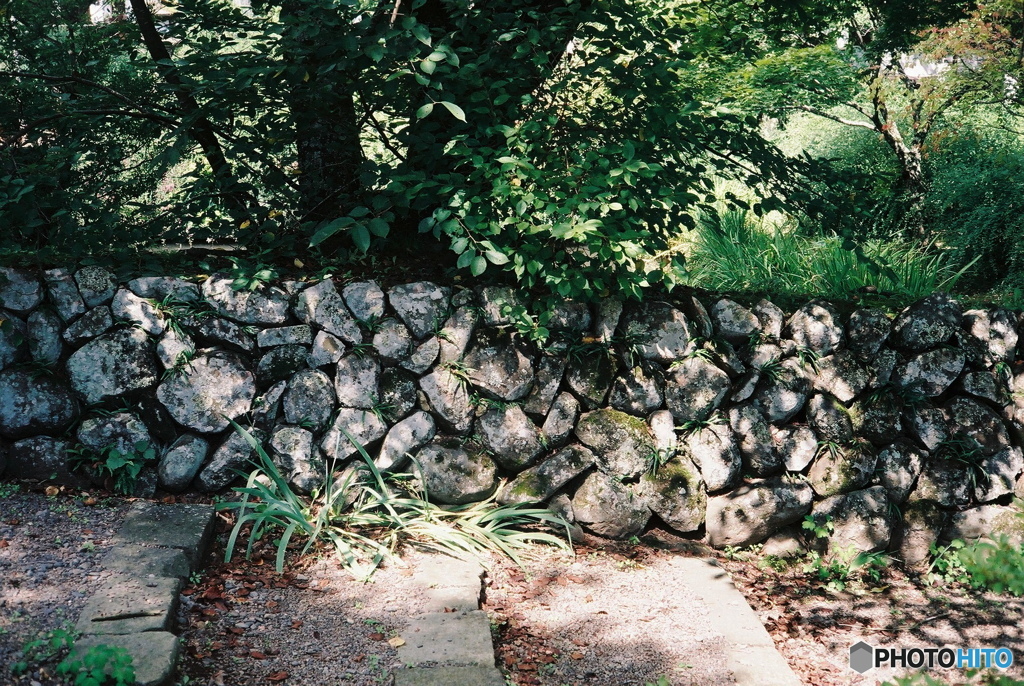 YASHICA (4)
