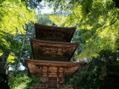 夏の三重塔