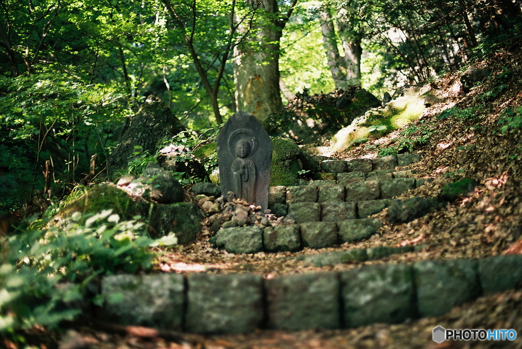 山道の途中