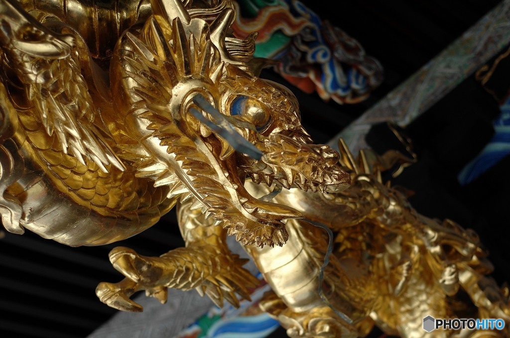金色の龍