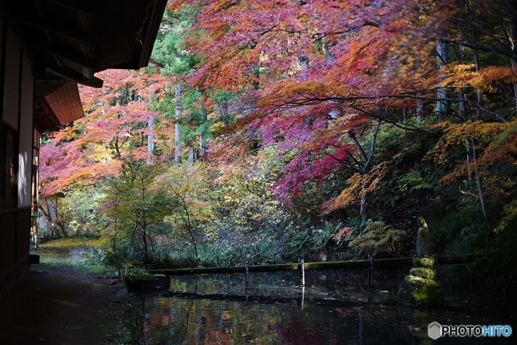 パステル紅葉