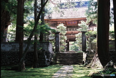 苔の寺　山門