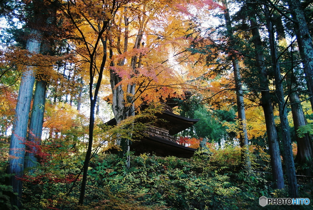 三重塔　紅葉