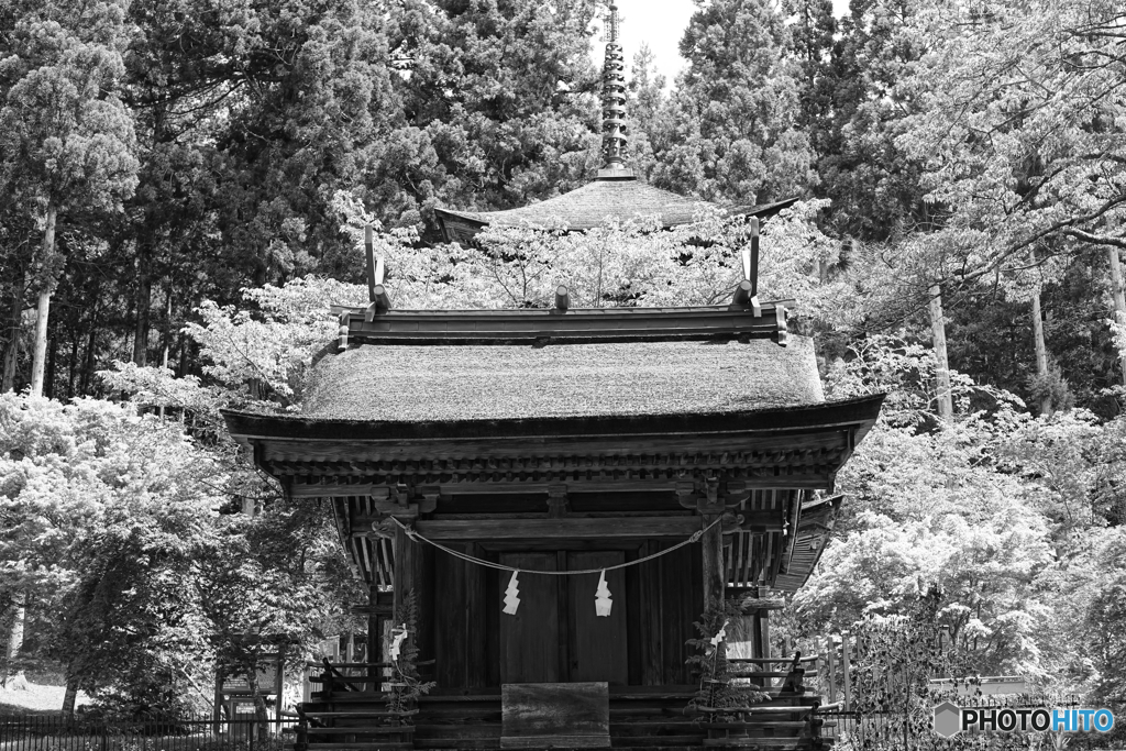 新海神社
