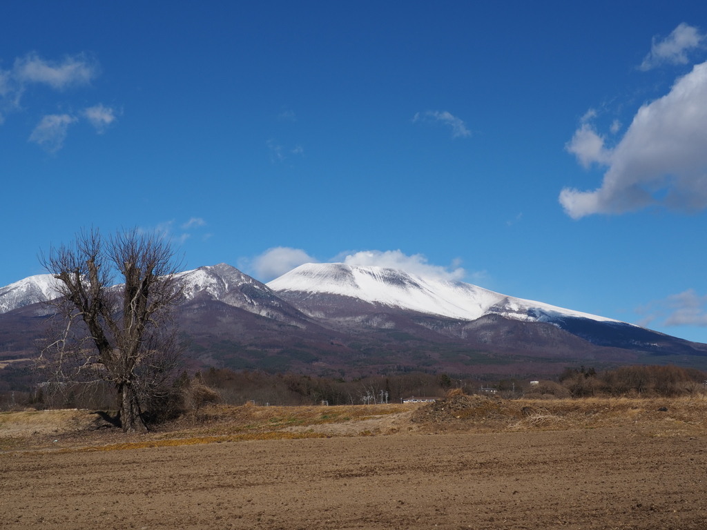 雪化粧