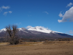 雪化粧