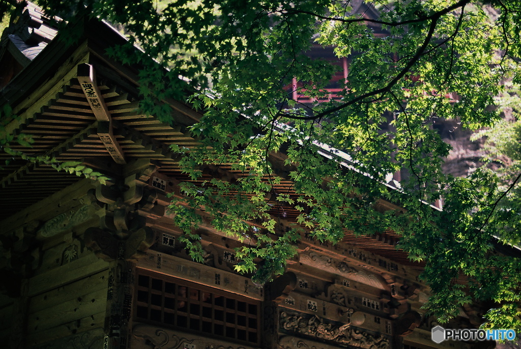 山中の山門