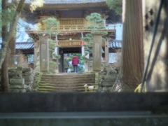新年
