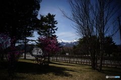 八ヶ岳