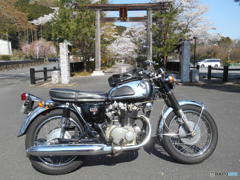 バイクツーリング　4794　ホンダＣＢ４５０　高麗神社