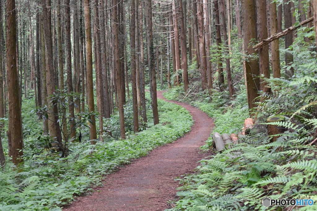 山道　0711