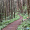 山道　0711