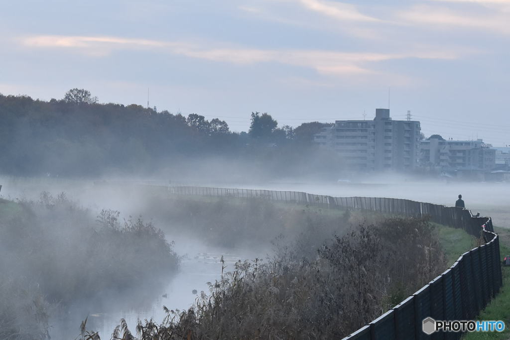 朝もや　1129　１２月６日　上尾鴨川