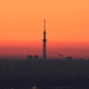 日の出　と　東京スカイツリー　2230