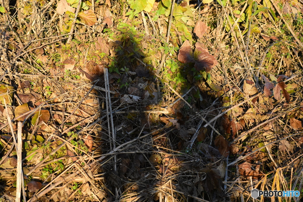 カミさんと二人！　2702