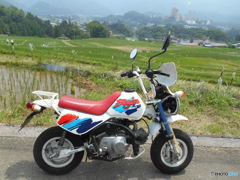 ミニバイクツーリング　3177　　横瀬町　寺坂の棚田