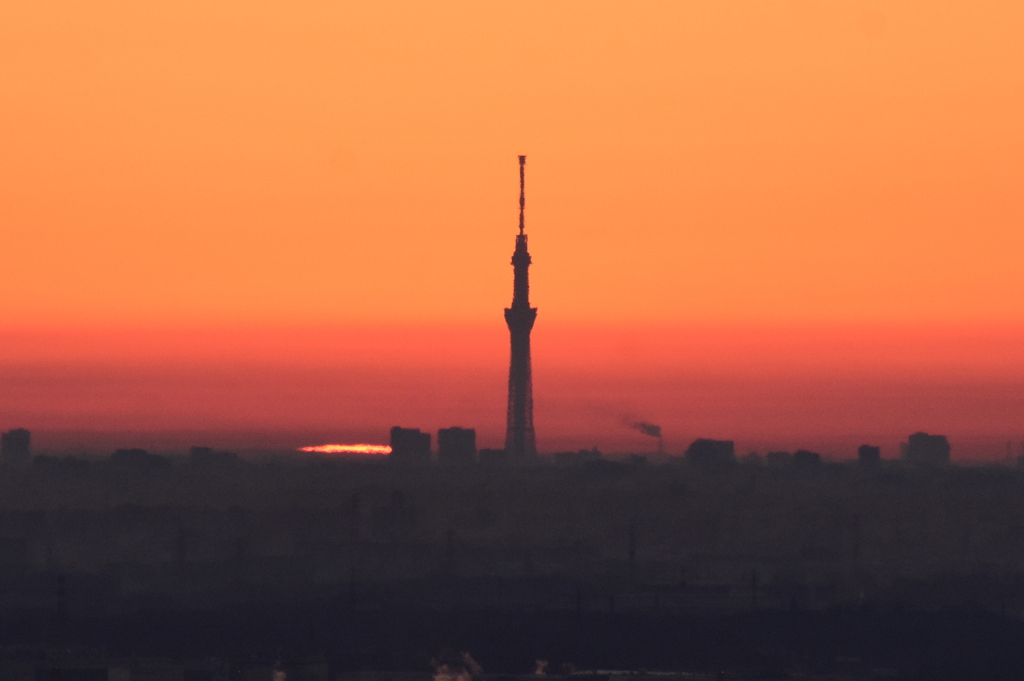 日の出　と　東京スカイツリー　2231