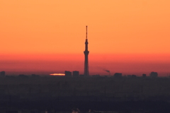 日の出　と　東京スカイツリー　2231