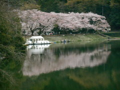 鎌北湖　2420