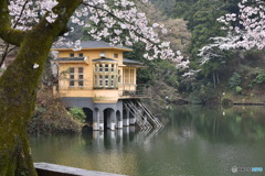 鎌北湖　1107